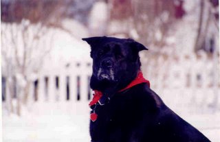 Buddy and a favorite poem