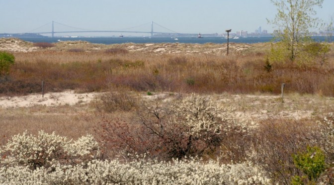 More views from Sandy Hook