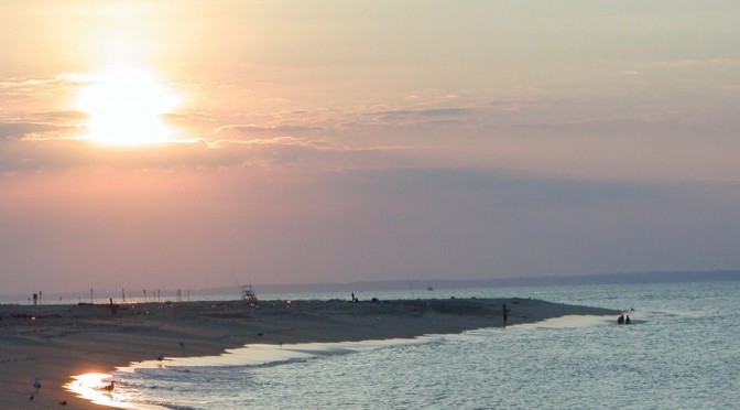 Sunset birding with the girls