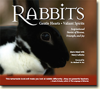Rabbits: Gentle Hearts, Valiant Spirits