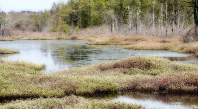 Same view, new season