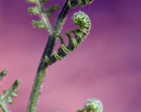 Just fiddlin’ around