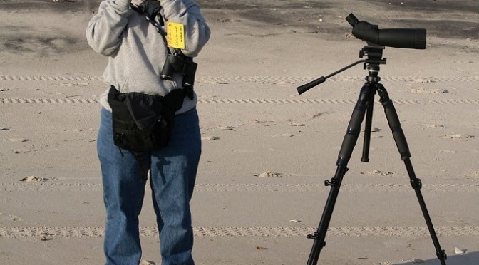 Bird bloggers gone silly