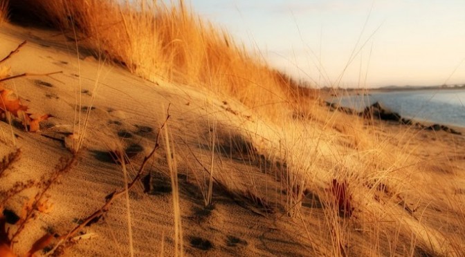 Tell me a joke, quick!