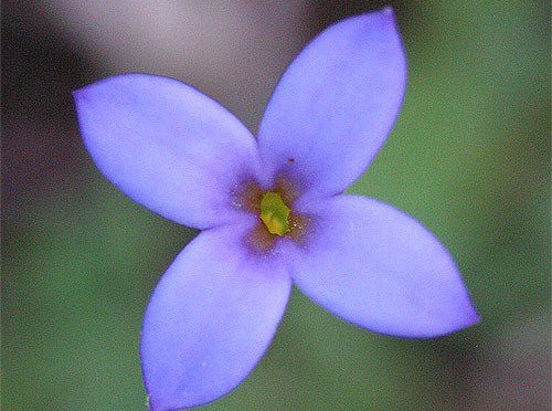 Poem in your Pocket Day