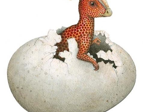 Overheard at the bird observatory