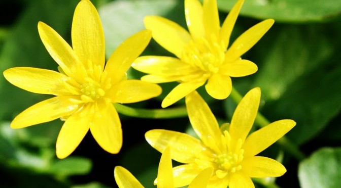 I fell in love today…