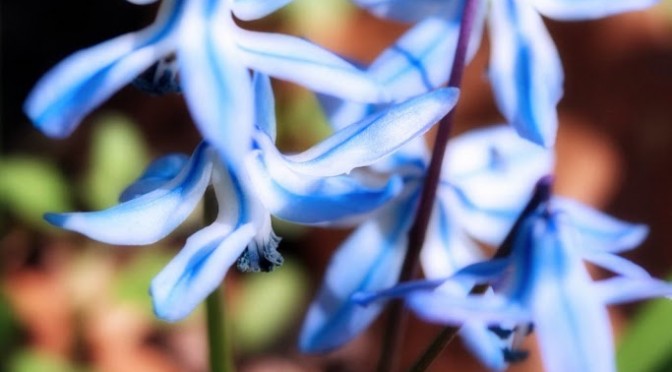 In which I foresee the future and rant some