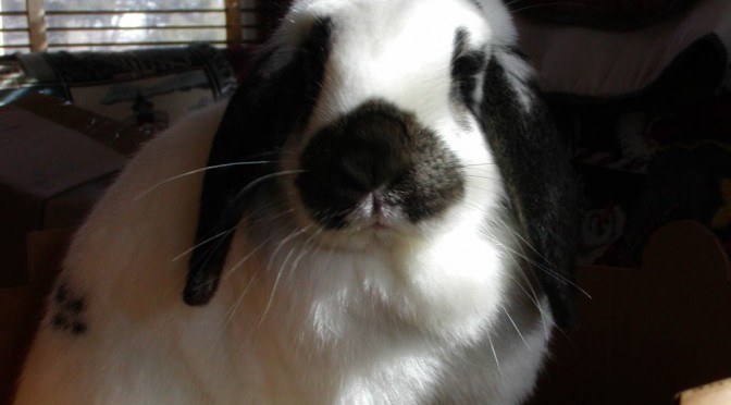 From the circle of time into the circle of love