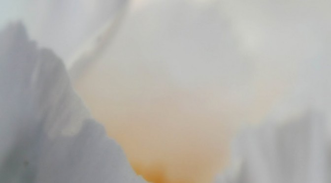 Loveliness on Sunday