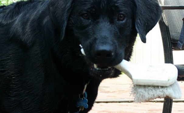 A cleansing post   ;-)