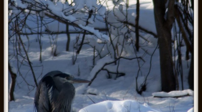 A picture of unhappiness…