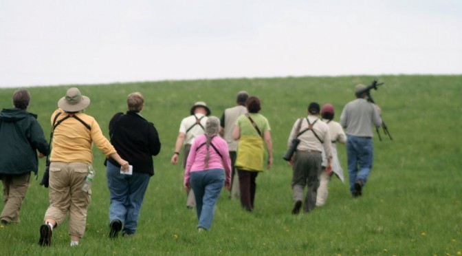 High country miscellany