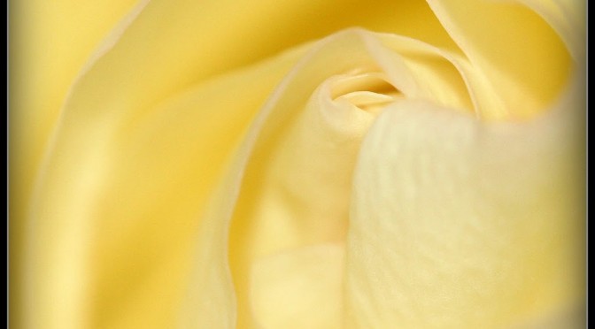 Wordless Wednesday – An old favorite