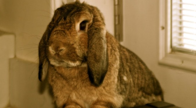 Punished with kisses